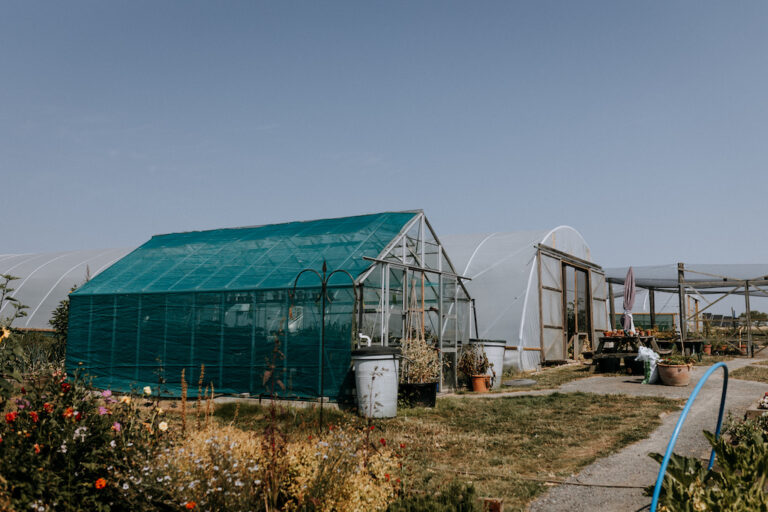 The Kitchen Garden at The Harty Estate in Kent, with greenhouse, poly tunnel and fruit cage